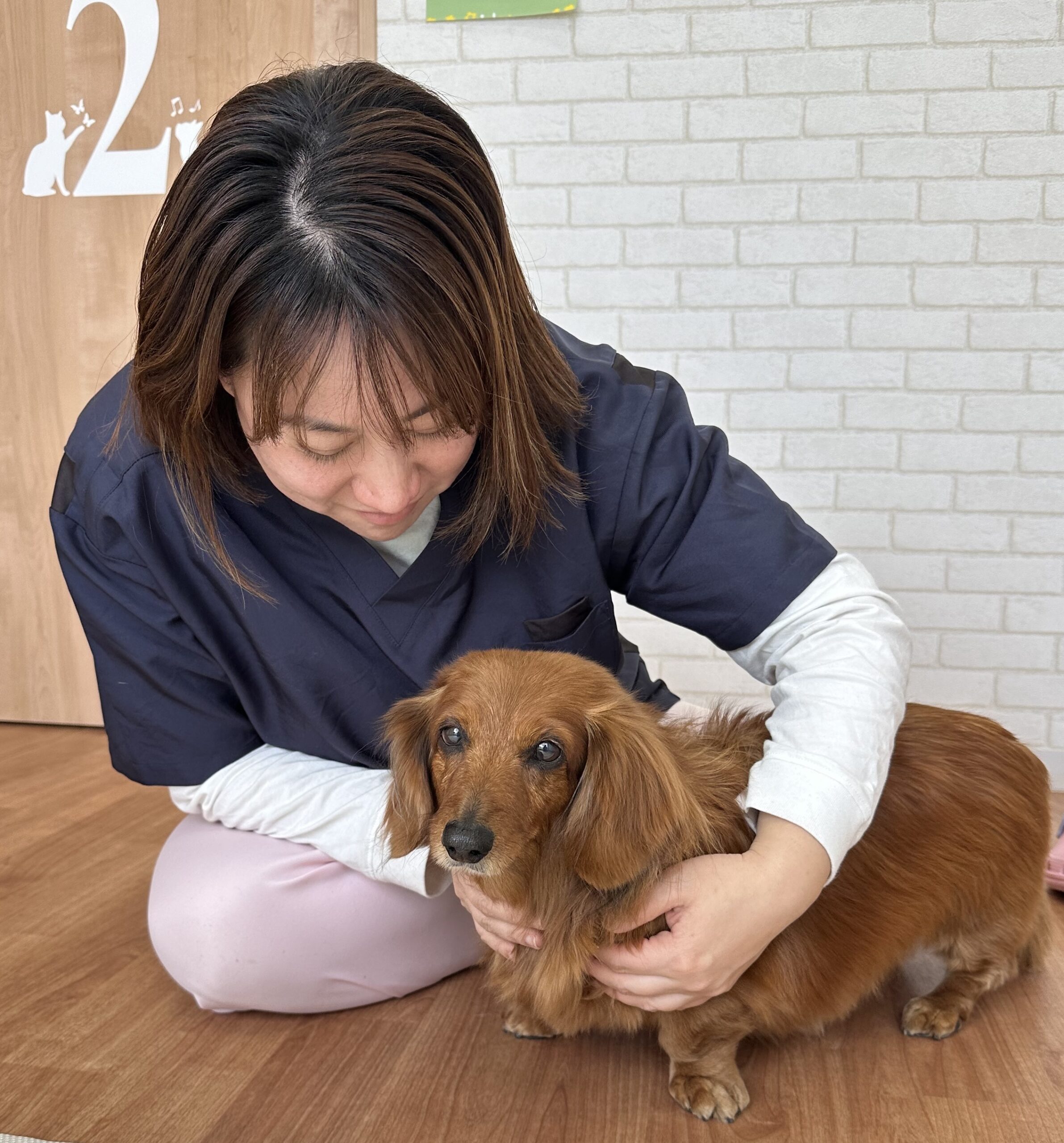 ien代表 豊後以都子とわんちゃん